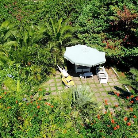 B&B Il Giardino Di Villa Anna Trecase Eksteriør billede