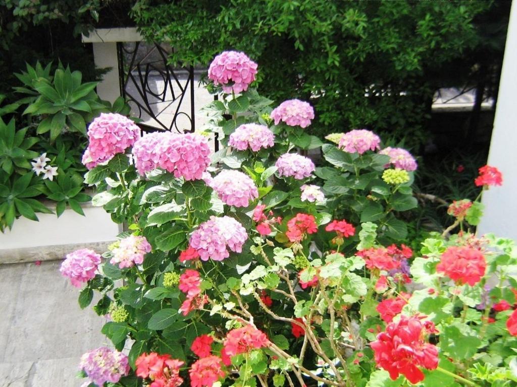 B&B Il Giardino Di Villa Anna Trecase Eksteriør billede