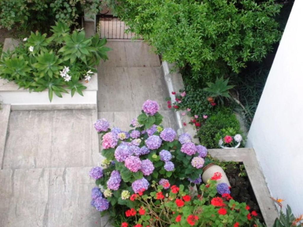 B&B Il Giardino Di Villa Anna Trecase Eksteriør billede