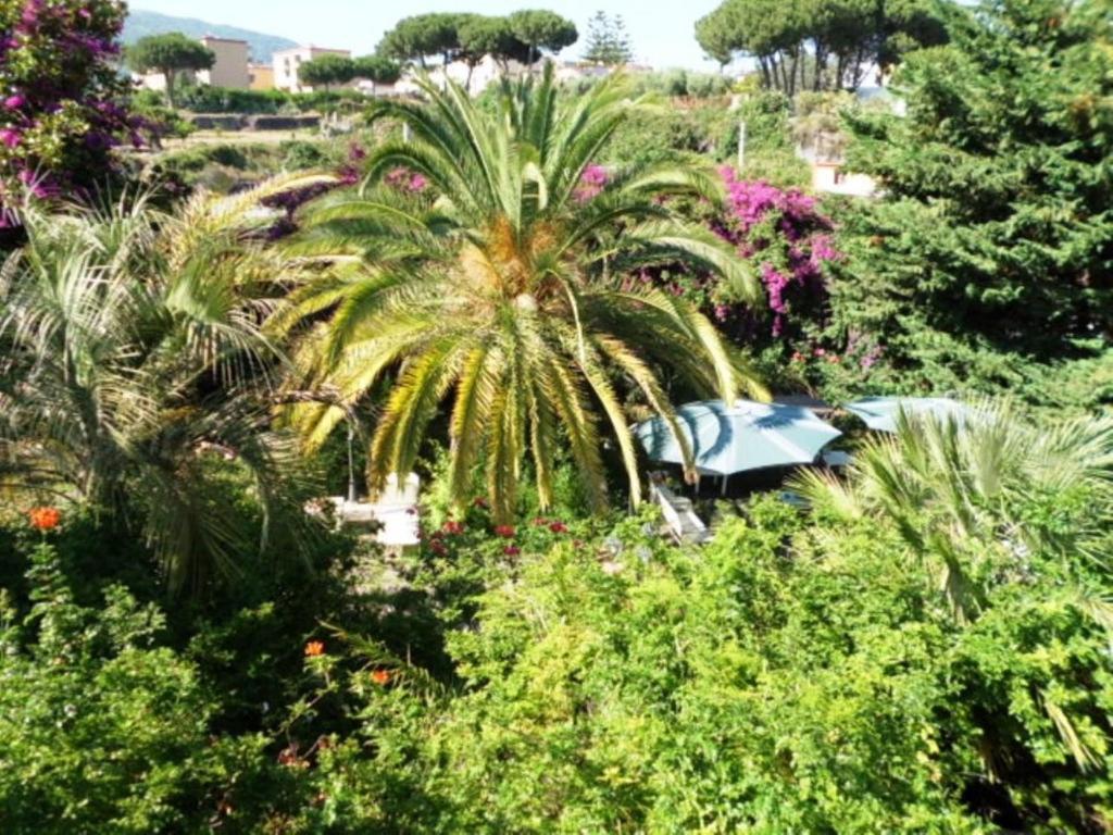 B&B Il Giardino Di Villa Anna Trecase Eksteriør billede