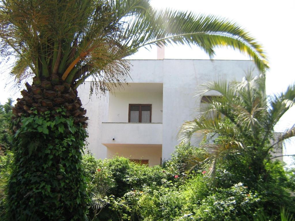 B&B Il Giardino Di Villa Anna Trecase Eksteriør billede