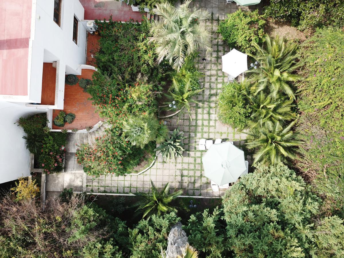 B&B Il Giardino Di Villa Anna Trecase Eksteriør billede