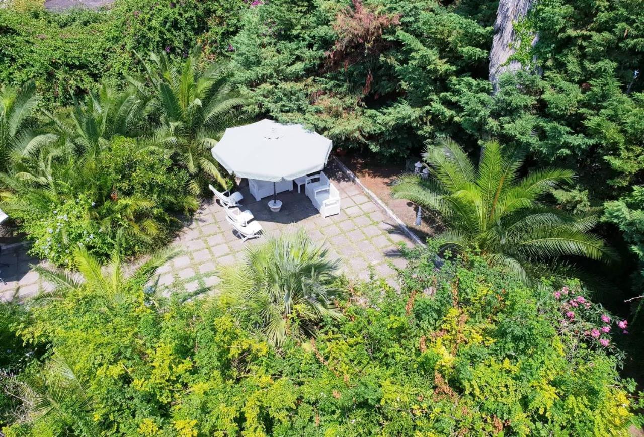 B&B Il Giardino Di Villa Anna Trecase Eksteriør billede