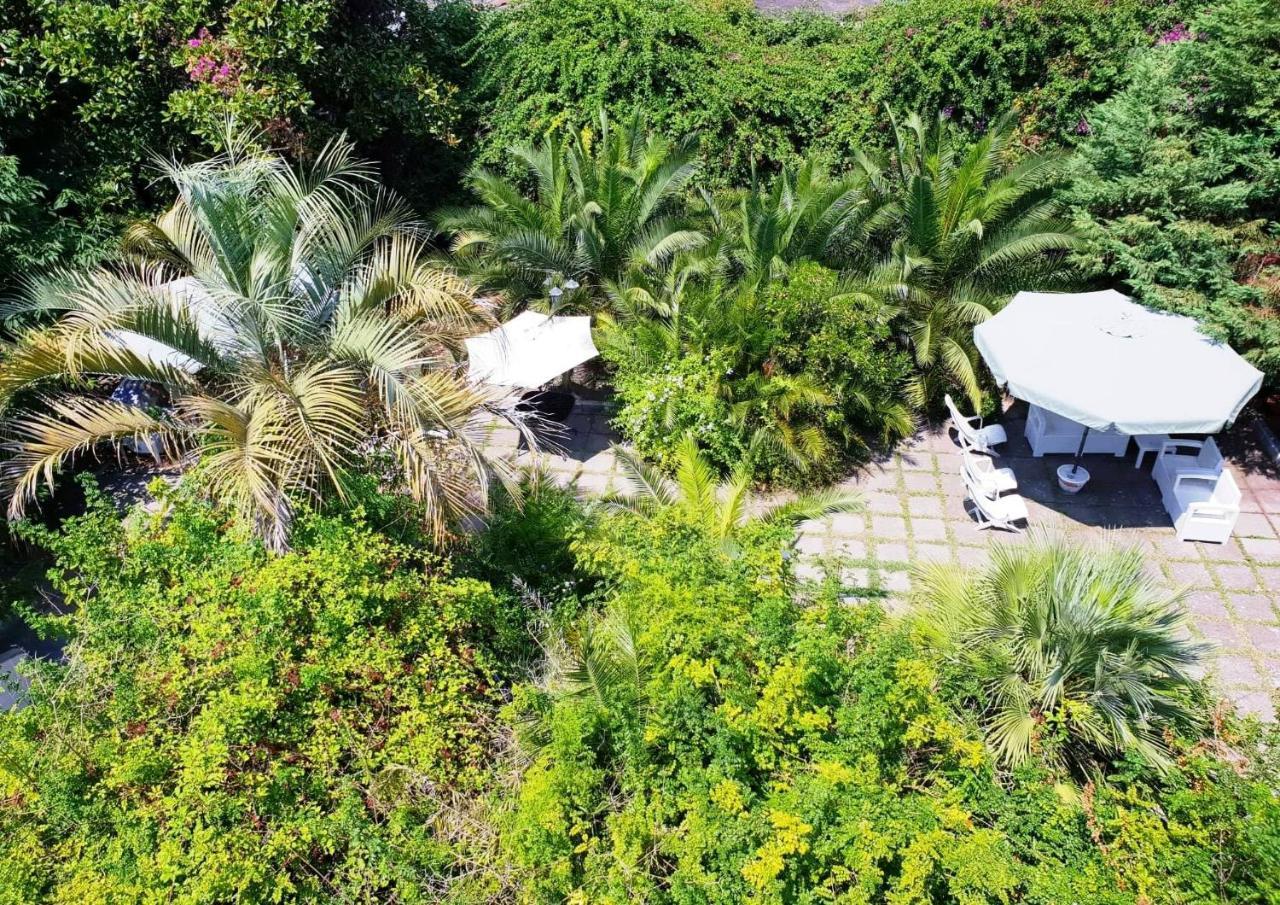 B&B Il Giardino Di Villa Anna Trecase Eksteriør billede