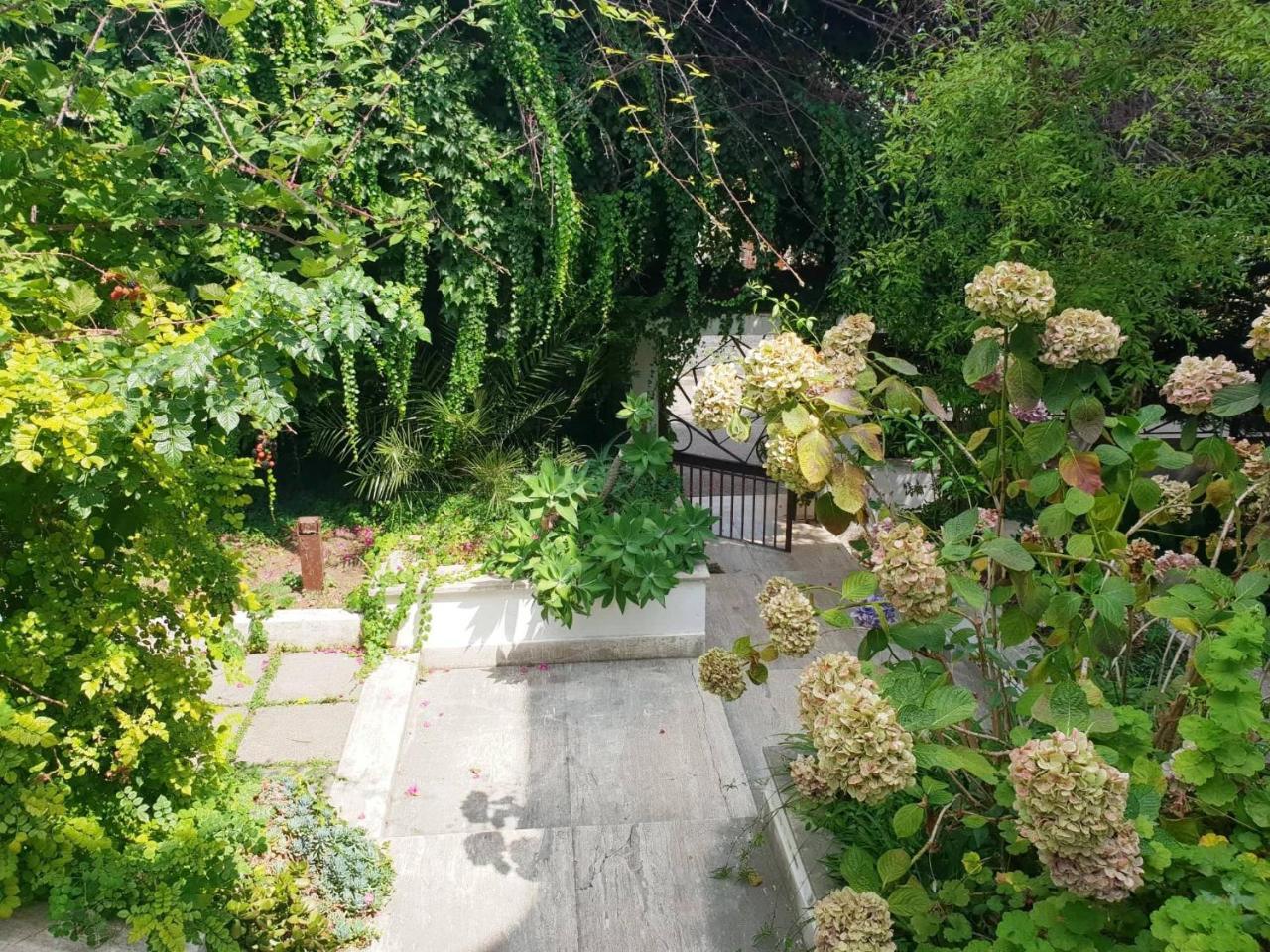 B&B Il Giardino Di Villa Anna Trecase Eksteriør billede