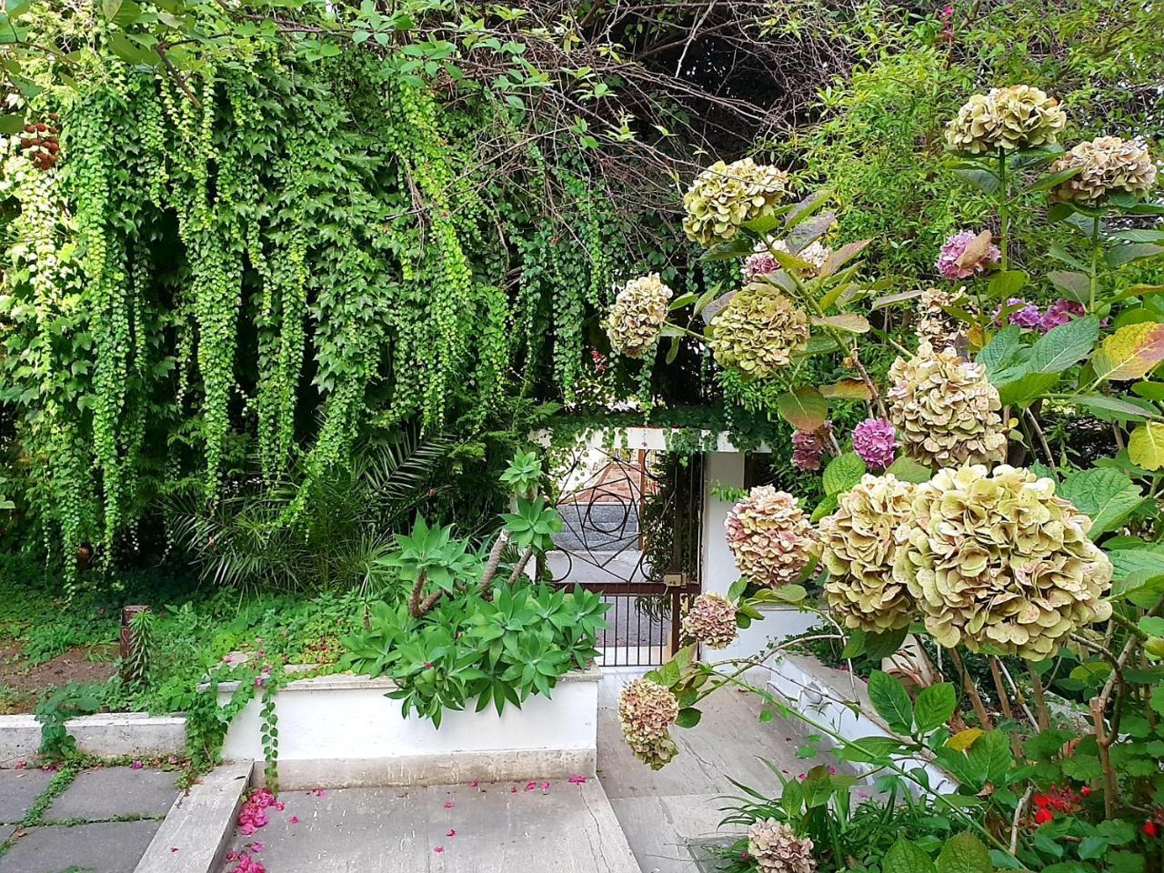 B&B Il Giardino Di Villa Anna Trecase Eksteriør billede