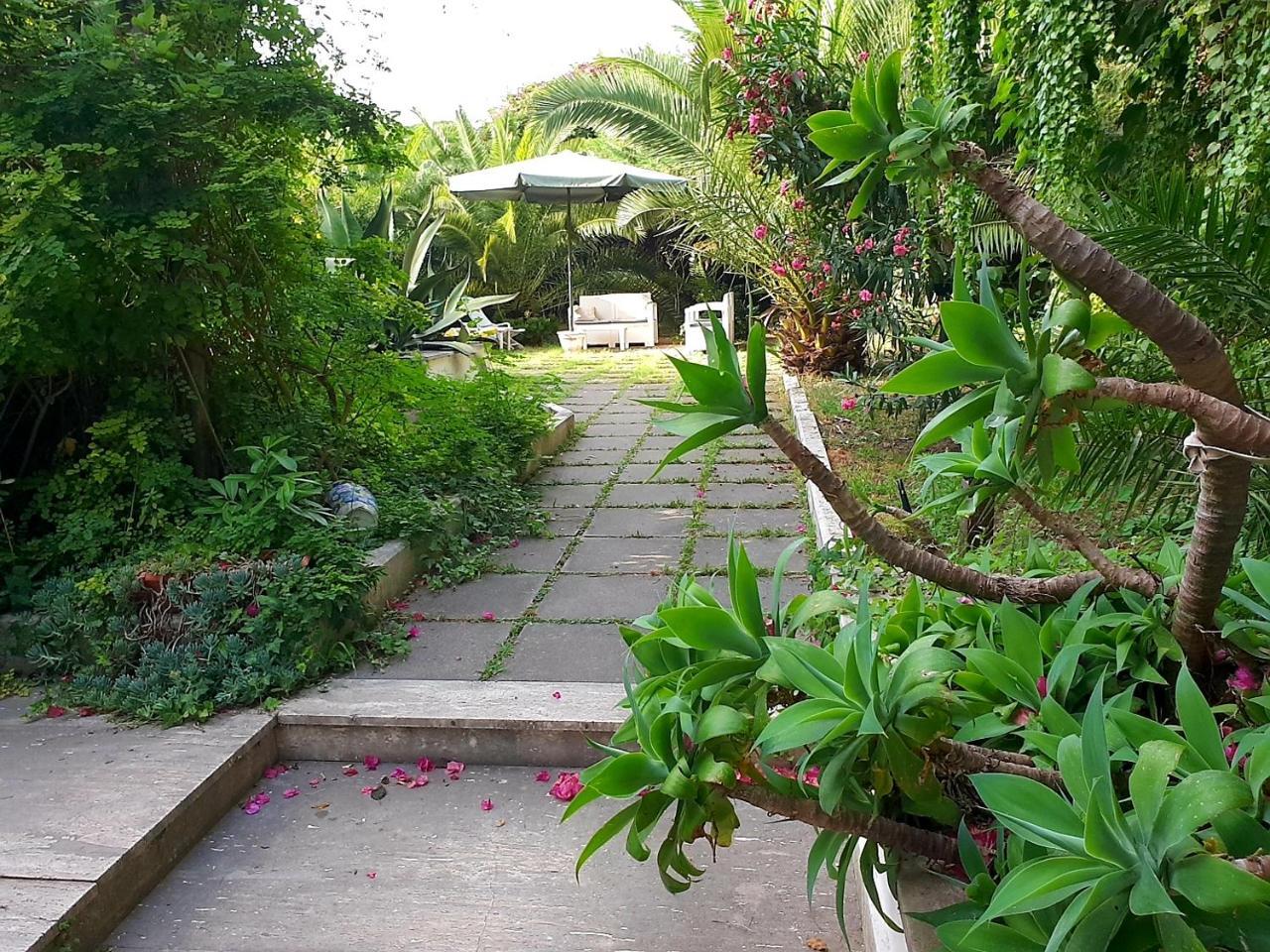 B&B Il Giardino Di Villa Anna Trecase Eksteriør billede