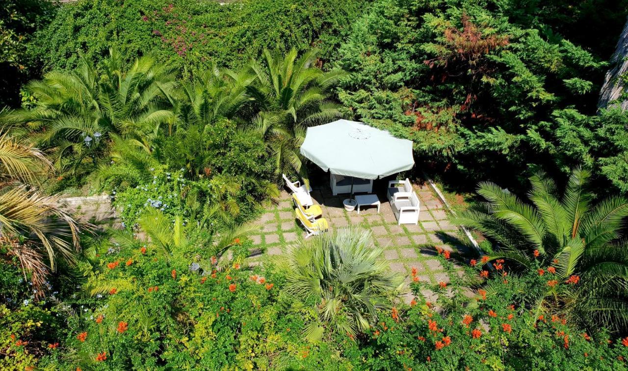 B&B Il Giardino Di Villa Anna Trecase Eksteriør billede