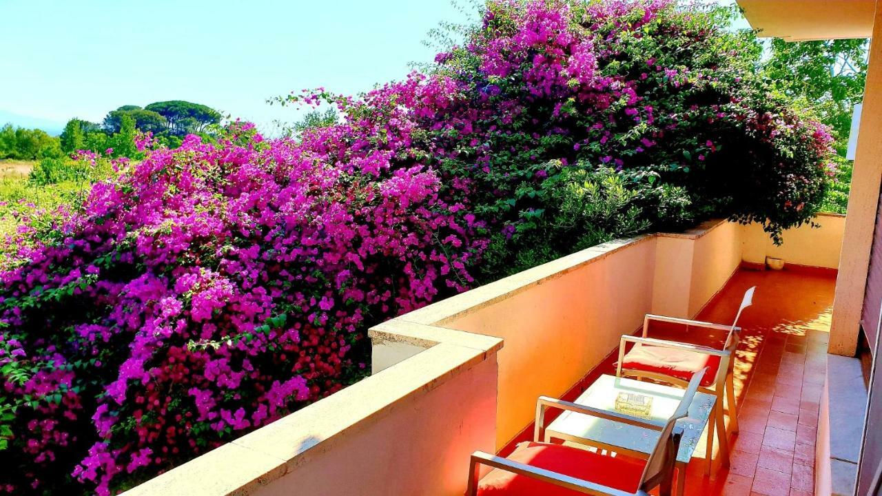 B&B Il Giardino Di Villa Anna Trecase Eksteriør billede